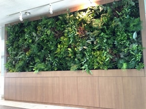 壁面緑化 【 屋内:プラティコ式壁面緑化パネル使用 】 2