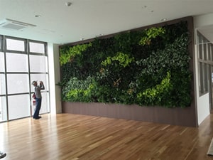 壁面緑化 【 屋内:プラティコ式壁面緑化パネル使用 】 25