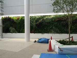 壁面緑化 【 屋内:プラティコ式壁面緑化パネル使用 】 33