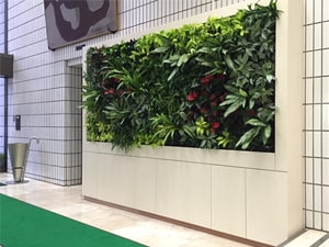 壁面緑化 【 屋内:プラティコ式壁面緑化パネル使用 】 63
