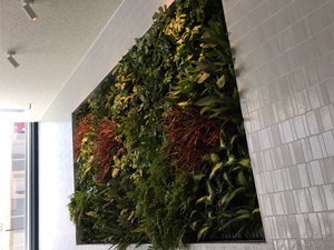 壁面緑化 【 屋内:プラティコ式壁面緑化パネル使用 】 86