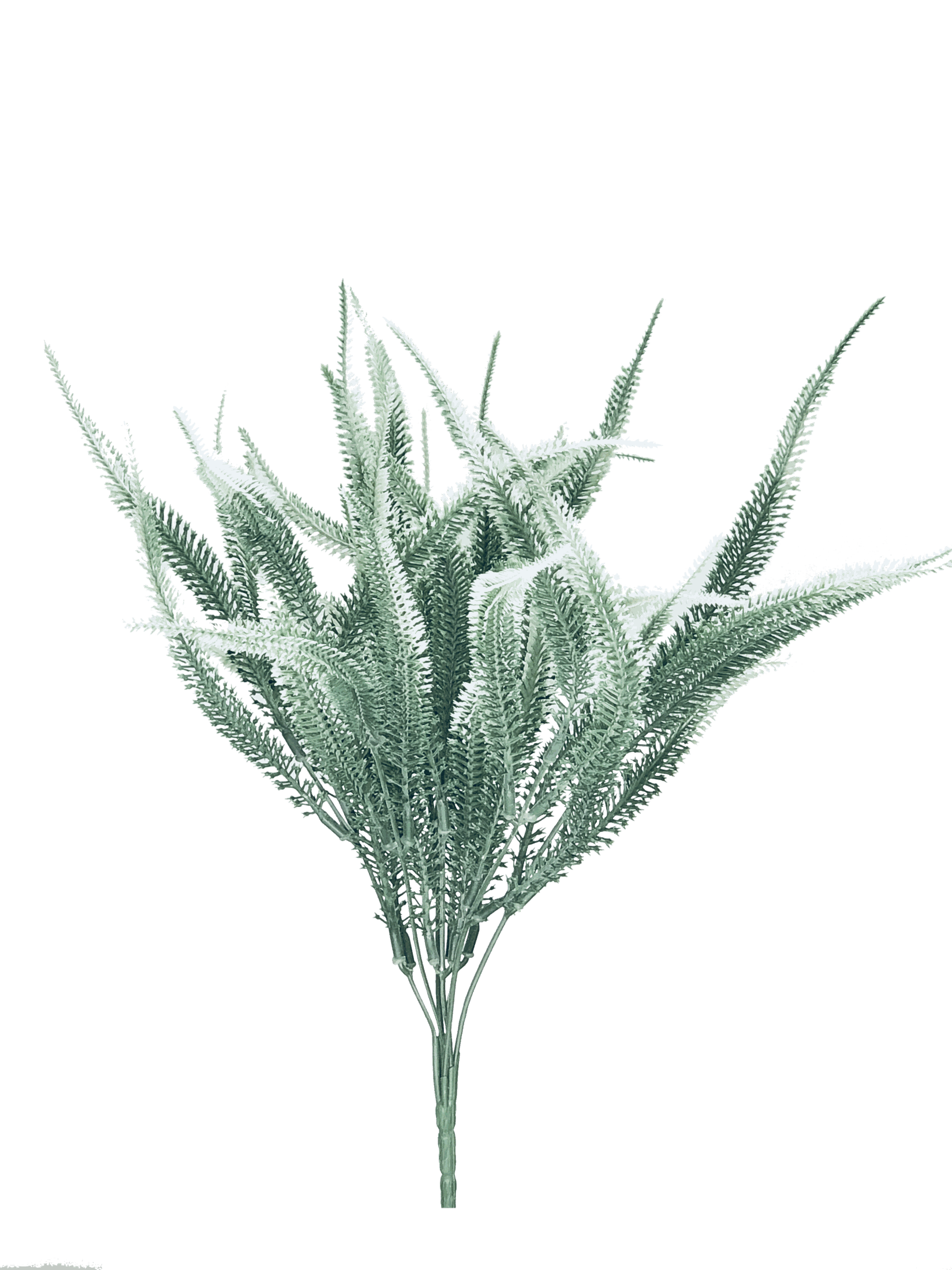 RP-012-1