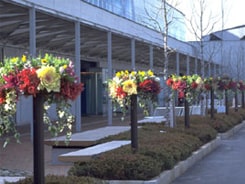 ハンギングバスケット23の施工写真