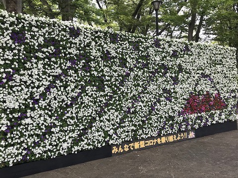 レンタル104の施工写真