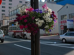 レンタル7の施工写真