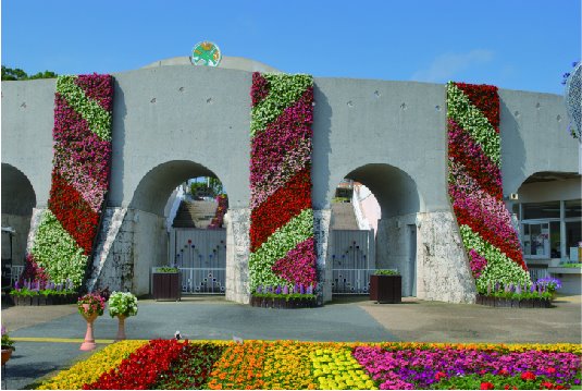 立体花壇 74の施工写真6
