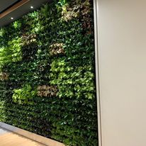 壁面緑化 【 屋内:プラティコ式壁面緑化パネル使用 】 120の施工写真3