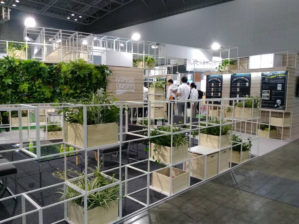 壁面緑化 【 屋内:プラティコ式壁面緑化パネル使用 】 142の施工写真5