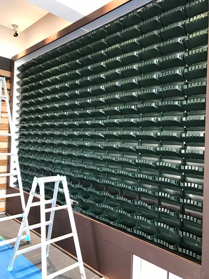 壁面緑化 【 屋内:プラティコ式壁面緑化パネル使用 】 147の施工写真3