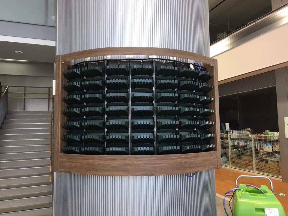 壁面緑化 【 屋内:プラティコ式壁面緑化パネル使用 】 150の施工写真3