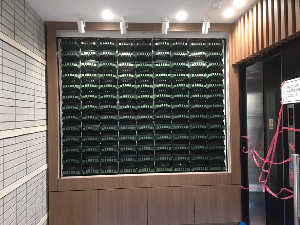 壁面緑化 【 屋内:プラティコ式壁面緑化パネル使用 】 151の施工写真3