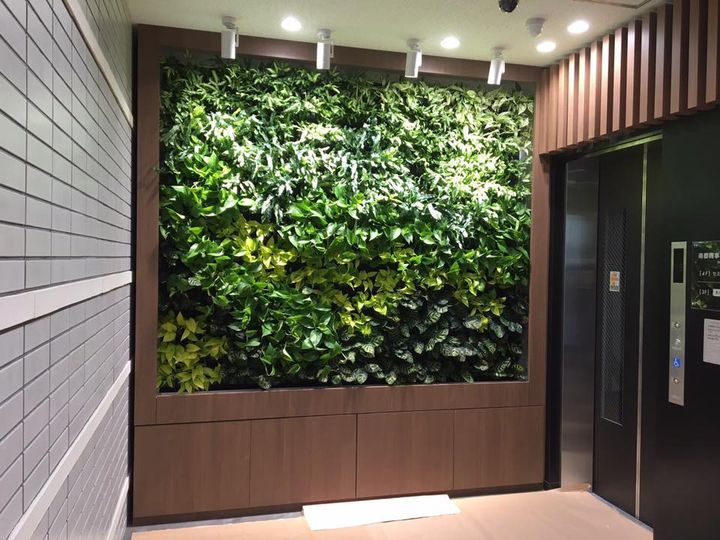 壁面緑化【屋内:プラティコ式壁面緑化パネル使用】151の施工写真