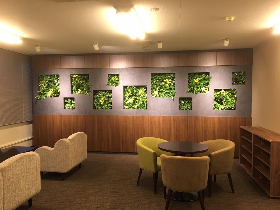 壁面緑化【屋内:プラティコ式壁面緑化パネル使用】152の施工写真