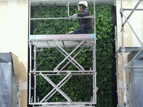 壁面緑化【屋内:プラティコ式壁面緑化パネル使用】160の施工写真