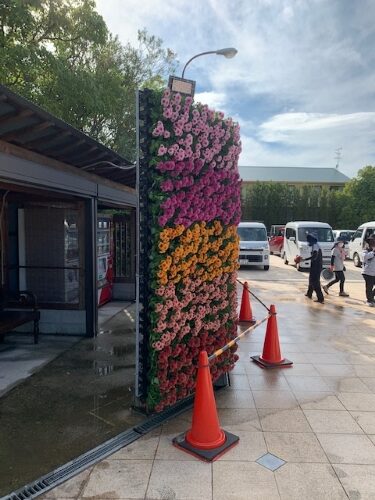 壁面緑化 【 屋外:カセット式壁面パネル使用 】 120の施工写真4