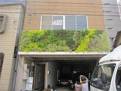 壁面緑化 【 屋外:カセット式壁面パネル使用 】 6の施工写真4