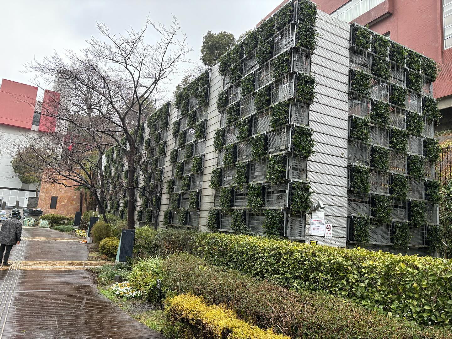 壁面緑化【屋外:カセット式壁面パネル使用】130の施工写真
