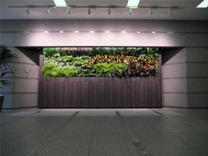 壁面緑化【屋内:プラティコ式壁面緑化パネル使用】3の施工写真