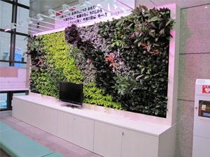 壁面緑化【屋内:プラティコ式壁面緑化パネル使用】6の施工写真