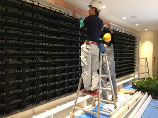 壁面緑化 【 屋内:プラティコ式壁面緑化パネル使用 】 9の施工写真3