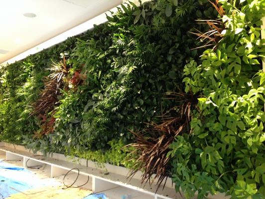 壁面緑化 【 屋内:プラティコ式壁面緑化パネル使用 】 9の施工写真6