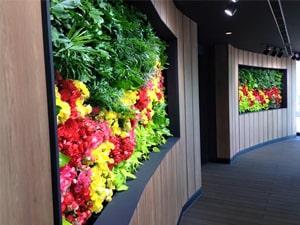 壁面緑化【屋内:プラティコ式壁面緑化パネル使用】22の施工写真