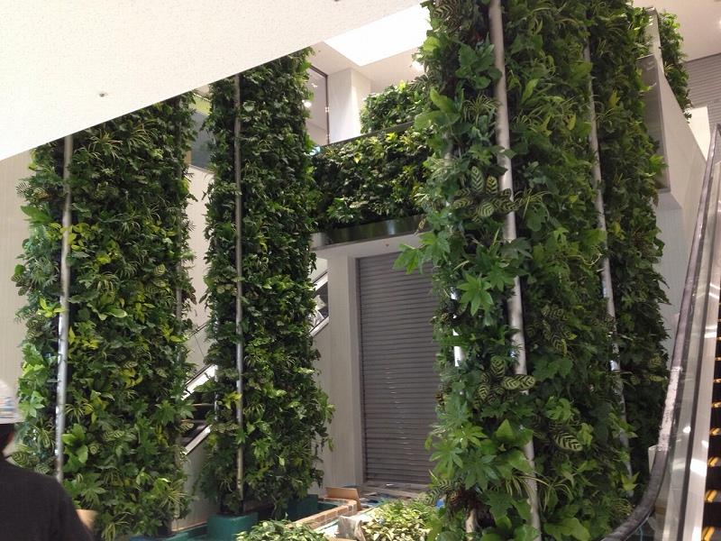 壁面緑化 【 屋内:プラティコ式壁面緑化パネル使用 】 24の施工写真2