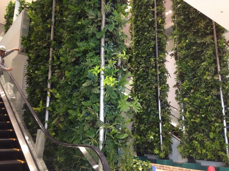 壁面緑化 【 屋内:プラティコ式壁面緑化パネル使用 】 24の施工写真3