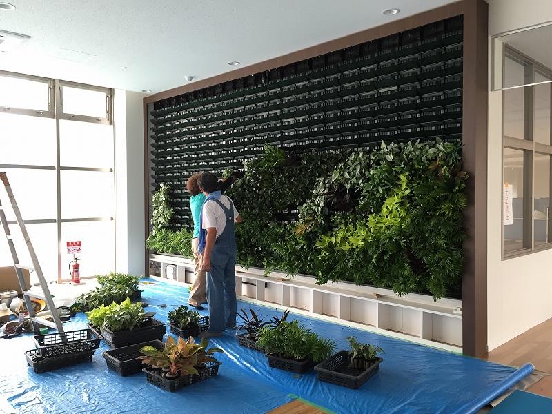 壁面緑化 【 屋内:プラティコ式壁面緑化パネル使用 】 25の施工写真4