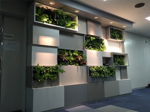 壁面緑化【屋内:プラティコ式壁面緑化パネル使用】32の施工写真