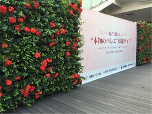 壁面緑化【屋内:プラティコ式壁面緑化パネル使用】34の施工写真
