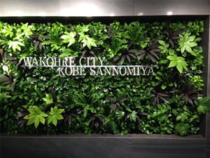 壁面緑化【屋内:プラティコ式壁面緑化パネル使用】35の施工写真