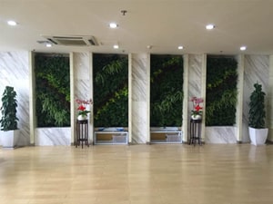壁面緑化【屋内:プラティコ式壁面緑化パネル使用】37の施工写真