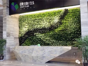 壁面緑化【屋内:プラティコ式壁面緑化パネル使用】47の施工写真