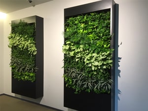 壁面緑化【屋内:プラティコ式壁面緑化パネル使用】49の施工写真