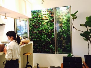 壁面緑化【屋内:プラティコ式壁面緑化パネル使用】51の施工写真