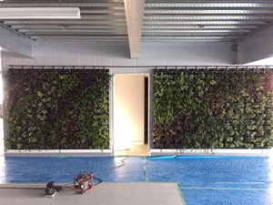 壁面緑化【屋内:プラティコ式壁面緑化パネル使用】53の施工写真