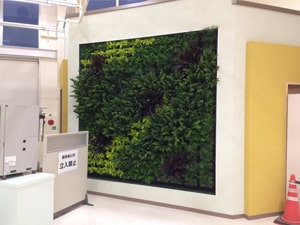 壁面緑化【屋内:プラティコ式壁面緑化パネル使用】58の施工写真