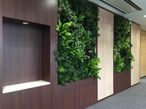 壁面緑化【屋内:プラティコ式壁面緑化パネル使用】60の施工写真