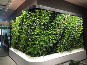 壁面緑化【屋内:プラティコ式壁面緑化パネル使用】66の施工写真