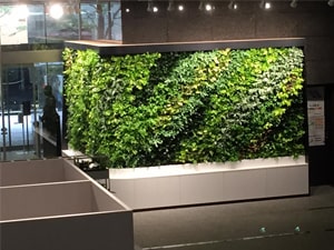 壁面緑化【屋内:プラティコ式壁面緑化パネル使用】67の施工写真