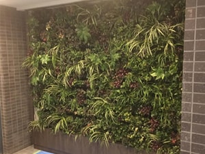 壁面緑化【屋内:プラティコ式壁面緑化パネル使用】68の施工写真