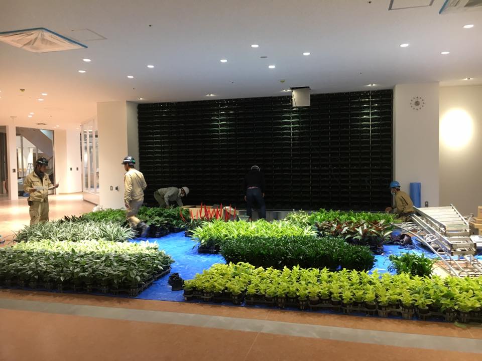 壁面緑化 【 屋内:プラティコ式壁面緑化パネル使用 】 69の施工写真6