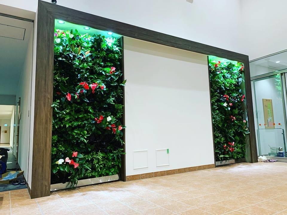 壁面緑化 【 屋内:プラティコ式壁面緑化パネル使用 】 92の施工写真4