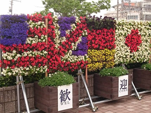 立体花壇39の施工写真