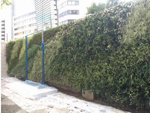 壁面緑化【屋外:カセット式壁面パネル使用】11の施工写真