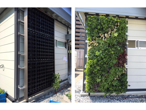 壁面緑化【屋外:カセット式壁面パネル使用】14の施工写真