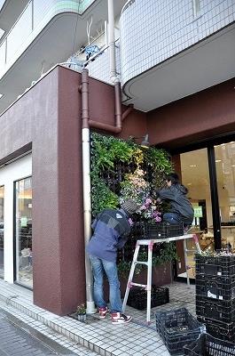 壁面緑化 【 屋外:カセット式壁面パネル使用 】 19の施工写真4