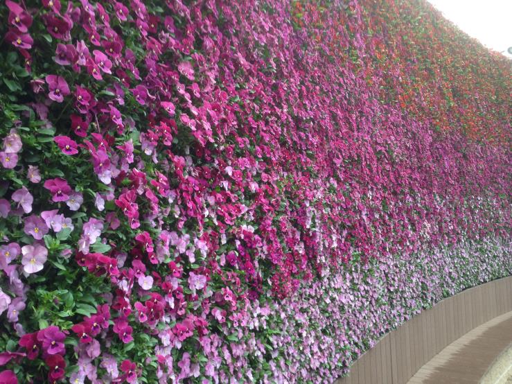 立体花壇 44の施工写真3
