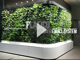 プラティコエントランス壁面緑化